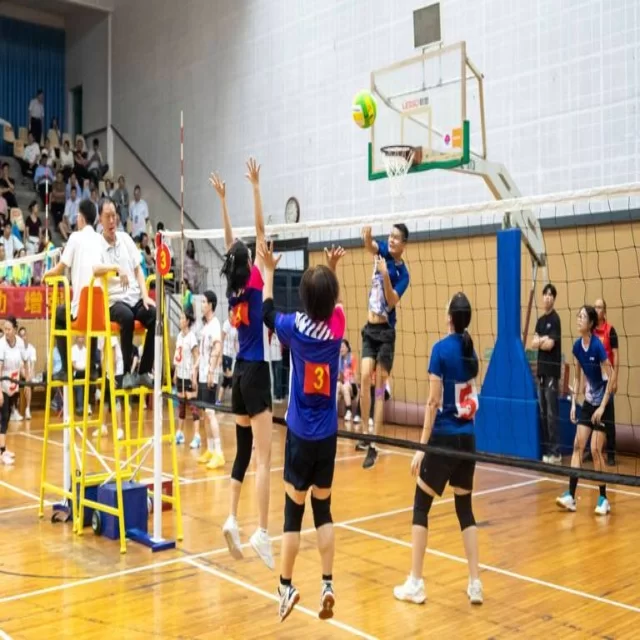 训练备战阵容新变化,第212组深度聚焦 专稿第12211期